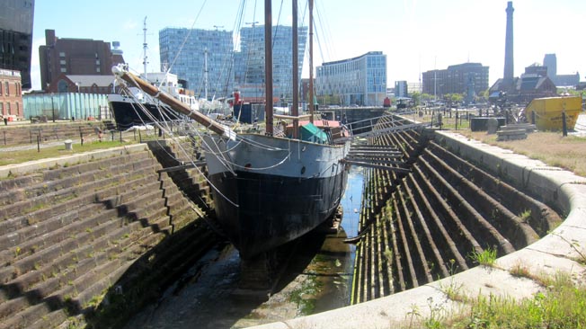 海洋総合辞典 Comprehensive Ocean Dictionary, 特選フォト