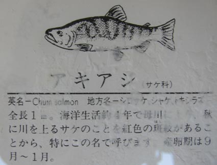 和英海洋辞典 辞書 Japanese English Ocean Dictionary